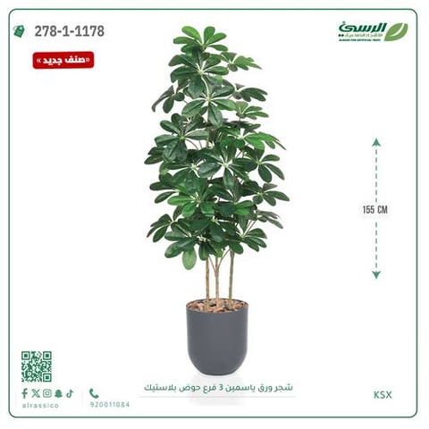 شجرة ورق ياسمين صناعية 3 فروع (ارتفاع 155 سم) حوض بلاستيك