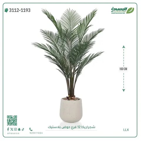 شجرة أريكا صناعية 12 فرع (ارتفاع 160 سم) حوض بلاستيك
