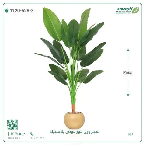 شجرة موز صناعية ( ارتفاع 200 سم ) حوض بلاستيك