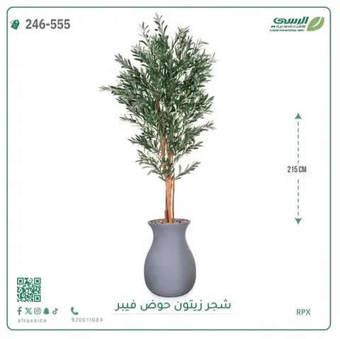 شجر زيتون صناعية ( ارتفاع 215 سم ) حوض فيبر