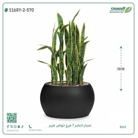 صبار صناعية ( ارتفاع 130 سم ) حوض فيبر