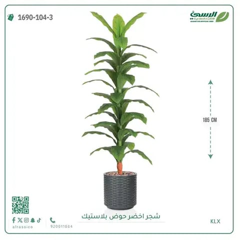شجرة ذرة صناعية (ارتفاع 185 سم) حوض بلاستيك