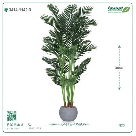 شجر أريكا صناعية ( ارتفاع 200 سم ) حوض بلاستك