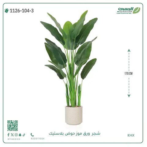 شجرة موز صناعية ( ارتفاع 170 سم ) حوض بلاستيك