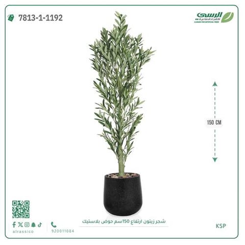 شجرة زيتون صناعية ( ارتفاع 150 سم ) حوض بلاستيك