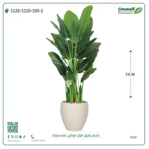 شجرة ورق موز صناعية ( ارتفاع 210 سم ) حوض بلاستيك