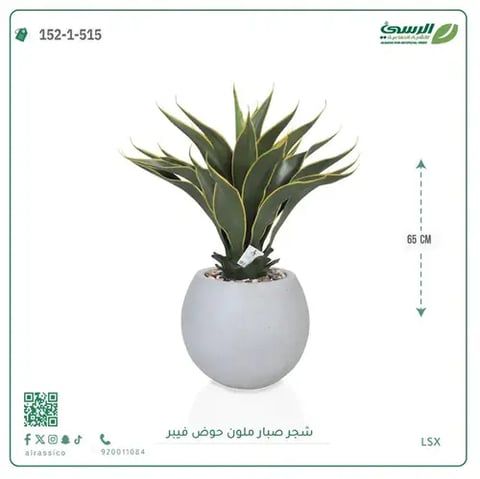 شجرة صبار صناعية ملونة ( ارتفاع 65 سم ) حوض فيبر