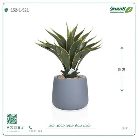 شجرة صبار صناعية ملونة ( ارتفاع 65 سم ) حوض فيبر