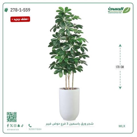 شجرة ورق ياسمين صناعية 3 فروع (ارتفاع 170 سم) حوض فيبر