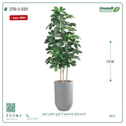 شجرة ورق ياسمين صناعية 3 فروع (ارتفاع 170 سم) حوض فيبر