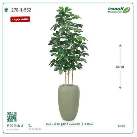 شجرة ورق ياسمين صناعية 3 فروع (ارتفاع 175 سم) حوض فيبر