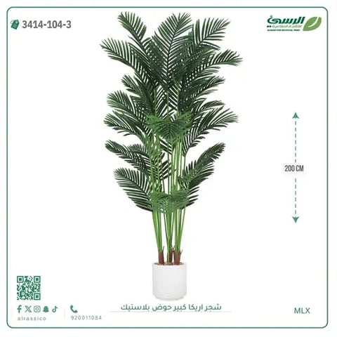 شجر أريكا صناعية ( ارتفاع 200 سم ) حوض بلاستك