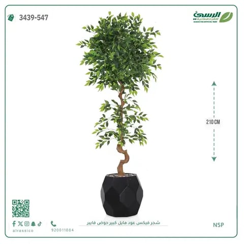 شجرة فيكس صناعية عود مائل (ارتفاع 210 سم) حوض فيبر
