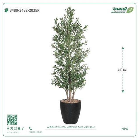 شجرة زيتون صناعية ( ارتفاع 210 سم ) حوض بلاستيك اسطواني