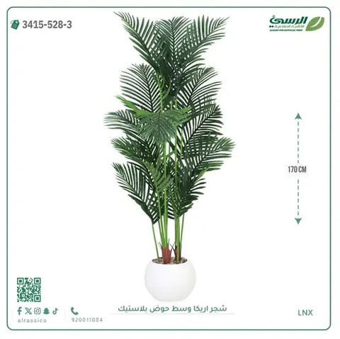 شجر أريكا صناعية ( ارتفاع 170 سم ) حوض بلاستك