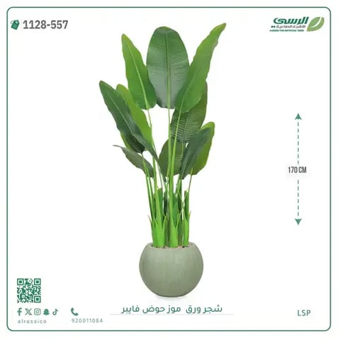 شجر موز صناعية ( ارتفاع 170 سم ) حوض فيبر