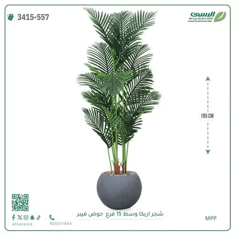 شجرة أريكا صناعية 15 فرع (ارتفاع 185 سم) حوض فيبر