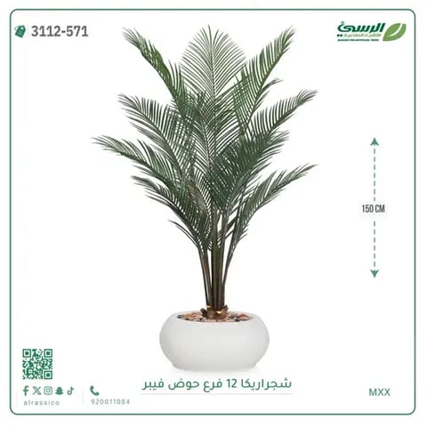 شجرة أريكا صناعية 12 فرع (ارتفاع 150 سم) حوض فيبر