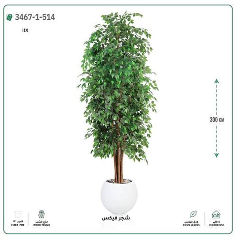 شجر فيكس صناعية (ارتفاع 300 سم) حوض فيبر جلاس