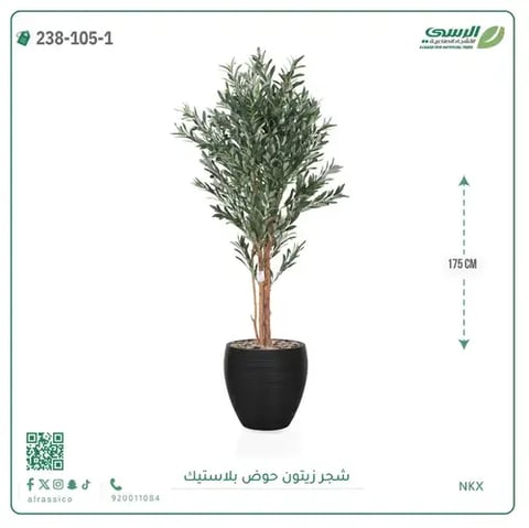 شجرة زيتون صناعية ( ارتفاع 175 سم ) حوض بلاستيك