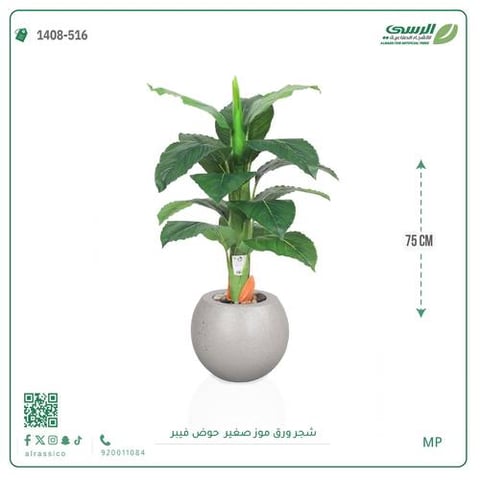  شجرة ورق موز صغير بمركن فيبر دائرى 