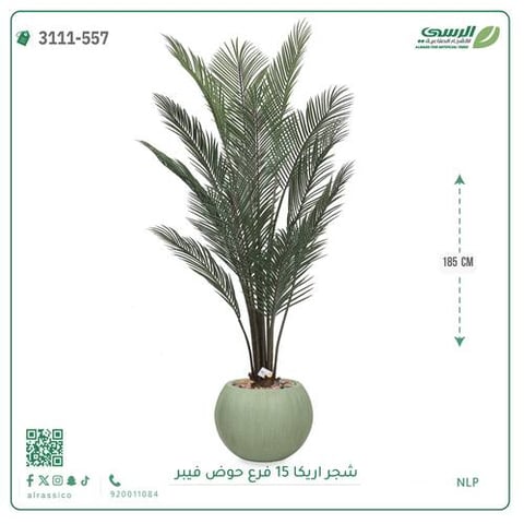 شجرة أريكا صناعية ( ارتفاع 185 سم ) حوض فيبر