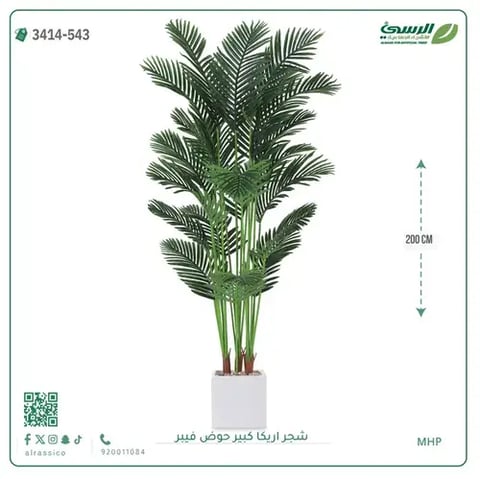 شجر أريكا صناعية ( ارتفاع 200 سم ) حوض فيبر