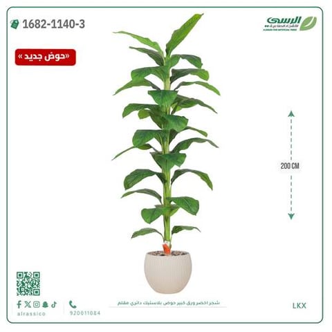 شجرة خضراء صناعية ( ارتفاع 80 سم ) حوض بلاستك