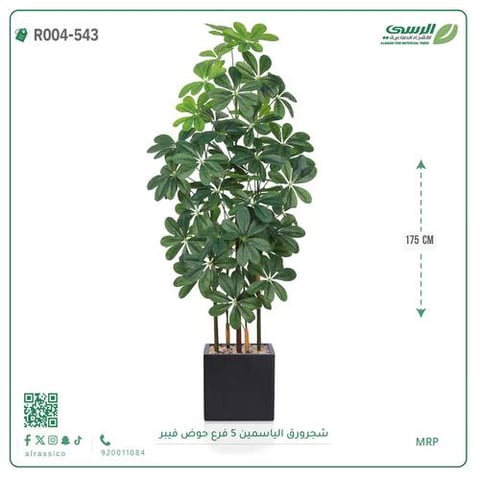 شجرة ورق ياسمين صناعية ( ارتفاع 175 سم ) حوض فيبر مربع
