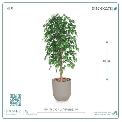 شجرة ورق فيكس اصطناعية بمركن بلاستيك أسطواني