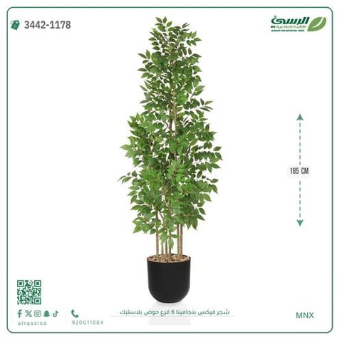 شجرة فيكس بنجامينا صناعية 6 فروع (ارتفاع 185 سم) حوض بلاستيك