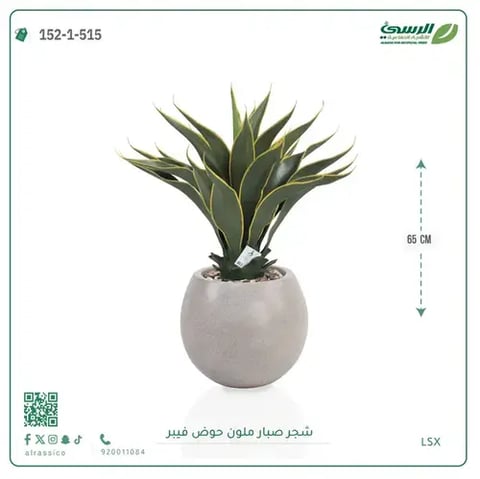 شجرة صبار صناعية ملونة ( ارتفاع 65 سم ) حوض فيبر