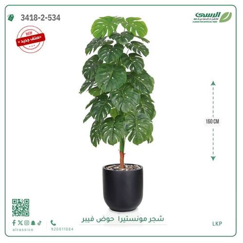 شجرة مونستيرا صناعية ( ارتفاع 160 سم ) حوض فيبر