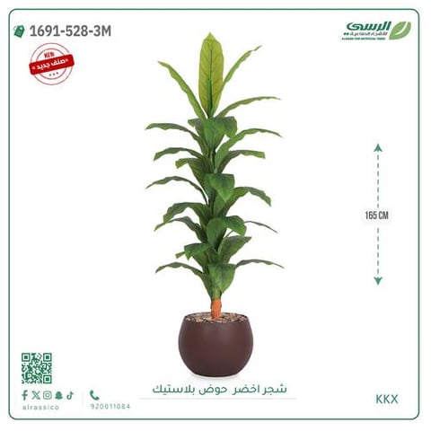  شجرة ورق أخضر وسط بمركن بلاستيك دائرى 