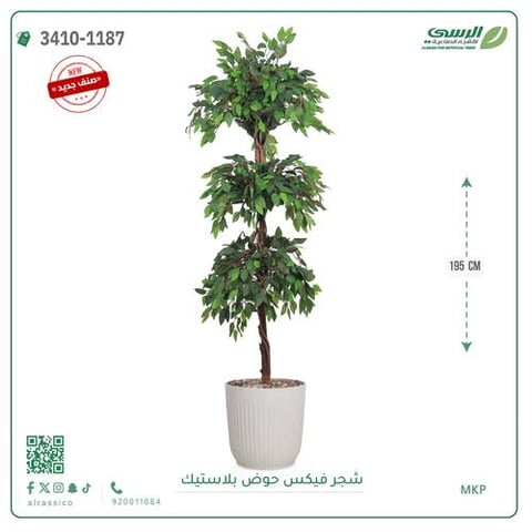 شجر فيكس صناعية ( ارتفاع 195 سم ) حوض بلاستك