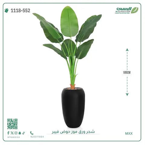 شجرة موز صناعية ( ارتفاع 185 سم ) حوض فيبر