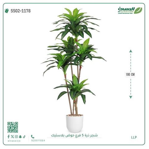 شجرة ذرة صناعية (5 فروع) ارتفاع 190 سم حوض بلاستيك