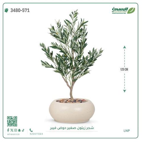 شجرة الزيتون الصناعية (ارتفاع 125 سم) حوض فيبر