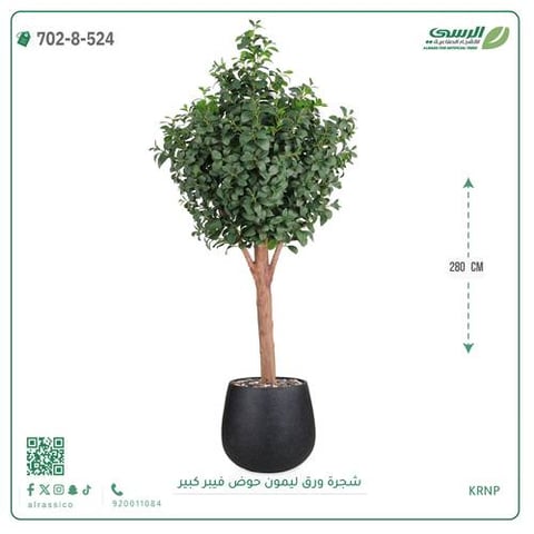 شجرة ورق ليمون صناعية جذع طبيعي حوض فيبر