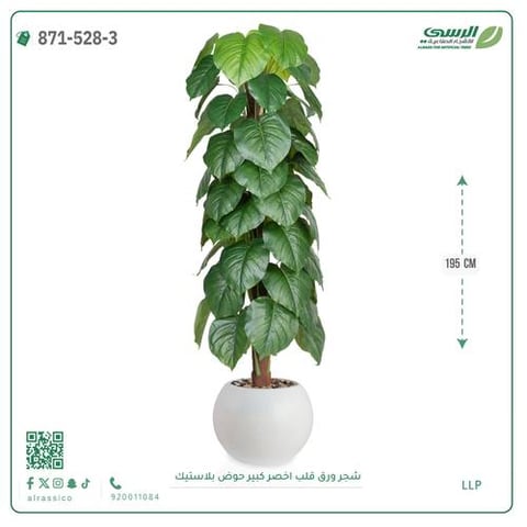 شجرة ورق قلب صناعية ( ارتفاع 195 سم ) حوض بلاستيك