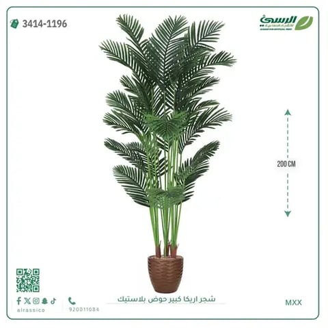 شجر أريكا صناعية ( ارتفاع 200 سم ) حوض بلاستك