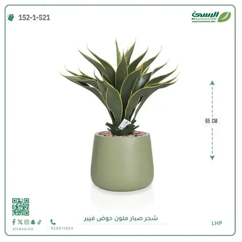 شجرة صبار صناعية ملونة ( ارتفاع 65 سم ) حوض فيبر