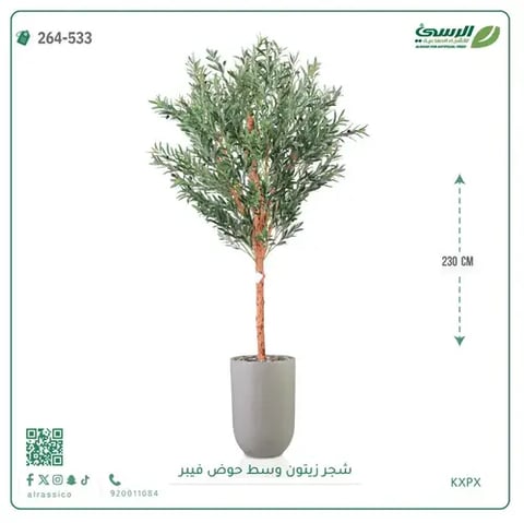 شجرة زيتون صناعية (ارتفاع 230 سم) بحوض فيبر