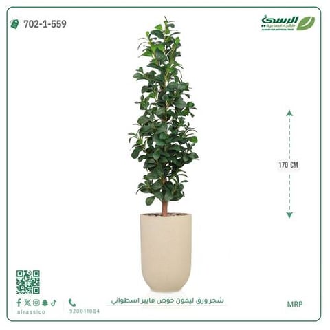 شجرة ورق ليمون صناعية (ارتفاع 170 سم) حوض فيبر أسطواني