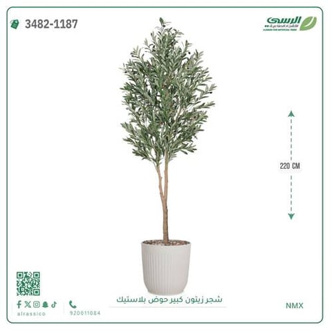 شجرة زيتون صناعية ( ارتفاع 220 سم ) حوض بلاستك