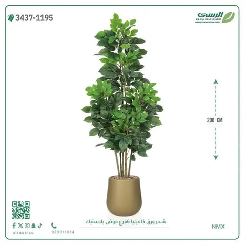 شجرة ورق كاميليا صناعية 6 فروع (ارتفاع 200 سم) حوض بلاستيك