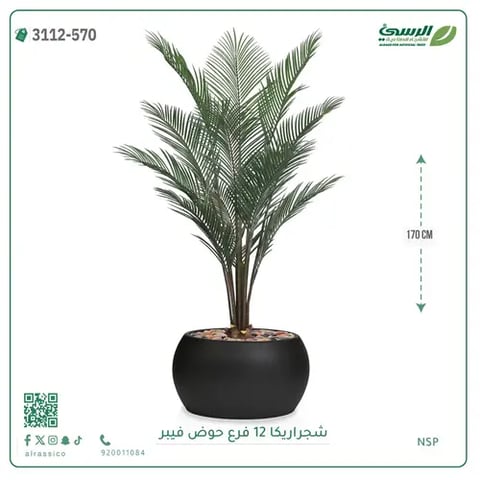 شجرة أريكا صناعية 12 فرع (ارتفاع 170 سم) حوض فيبر