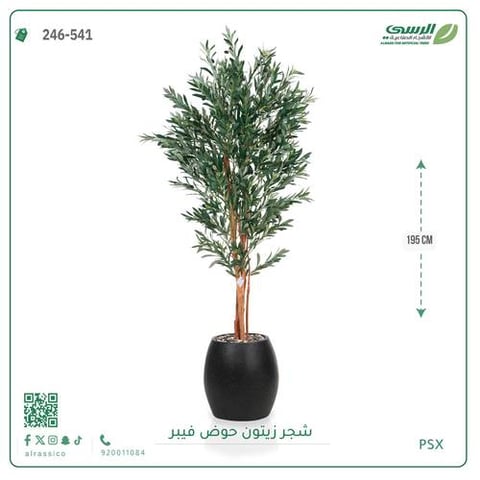 شجرة زيتون صناعية ( ارتفاع 195 سم ) حوض فيبر