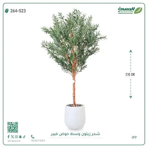 شجرة زيتون صناعية (ارتفاع 210 سم) بحوض فيبر