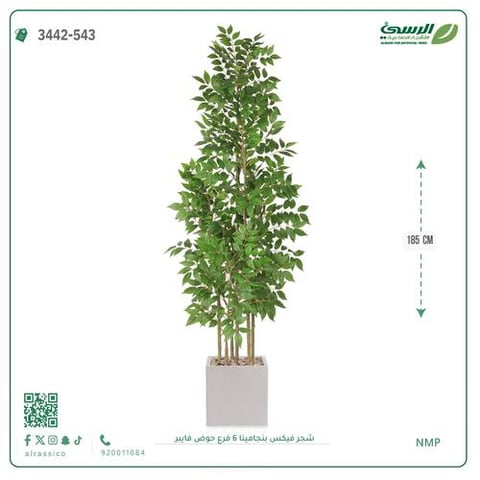 شجرة فيكس بنجامينا صناعية 6 فروع (ارتفاع 185 سم) حوض فيبر مربع
